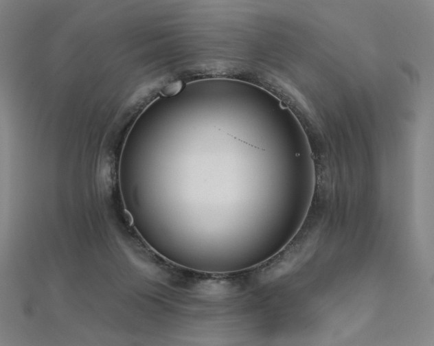 X0000112480119200908171228