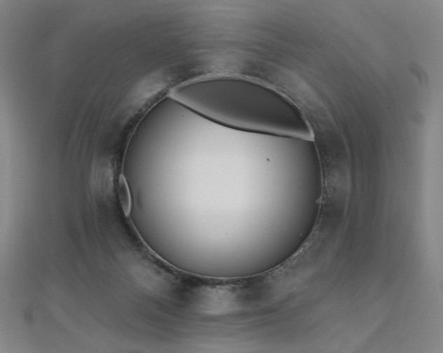 X0000112480120200908171228