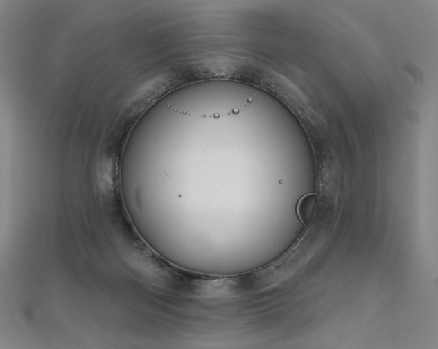 X0000112480122200908171228