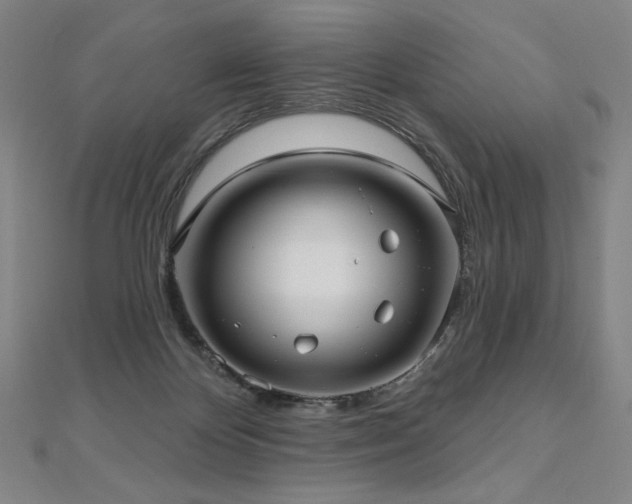X0000112480124200908171228