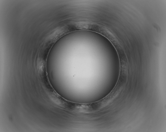 X0000112480125200908171228