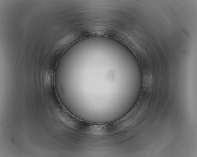 X0000112480126200908171227