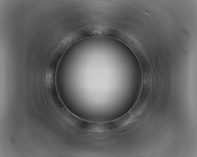 X0000112480127200908171227
