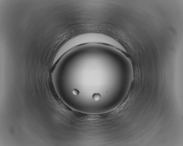X0000112480128200908171227