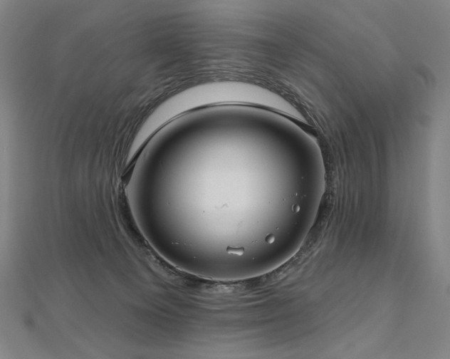 X0000112480129200908171227