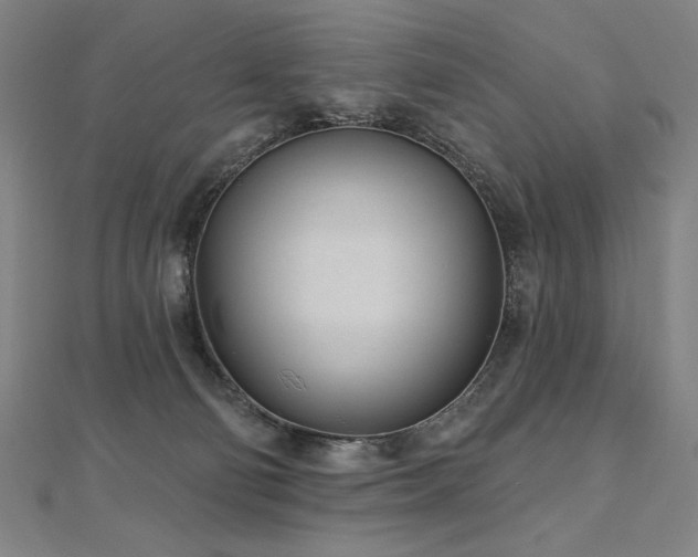 X0000112480130200908171227