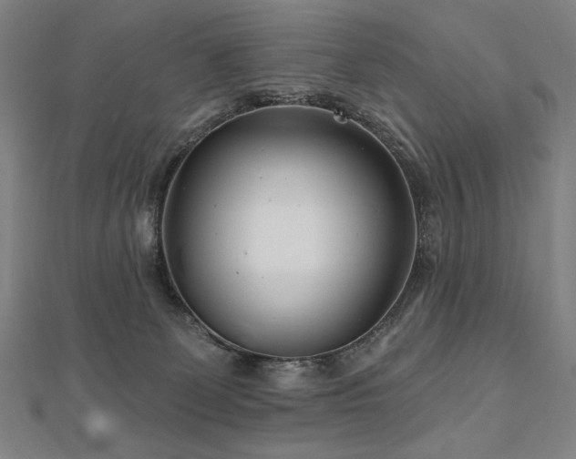 X0000112480131200908171227