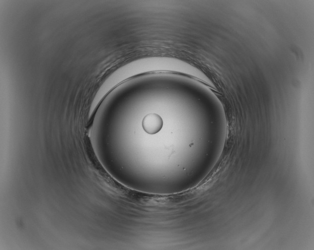 X0000112480132200908171227