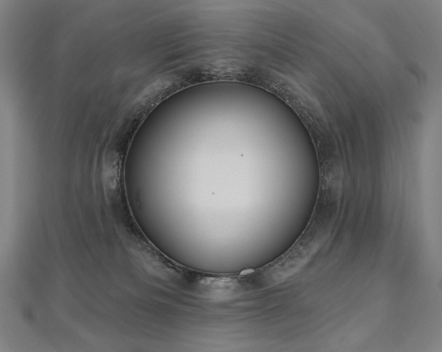 X0000112480133200908171227
