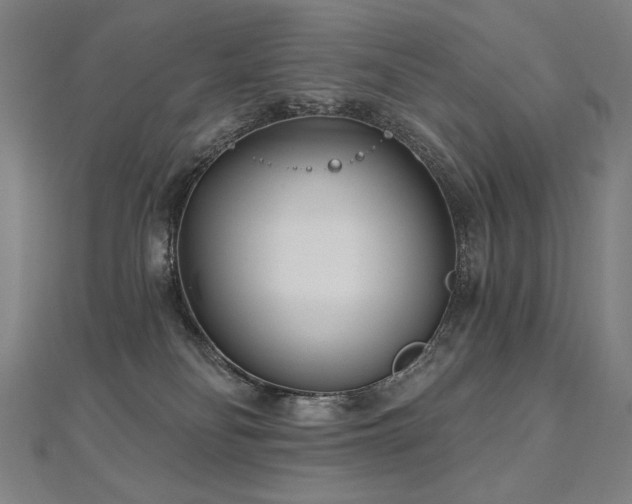 X0000112480134200908171227