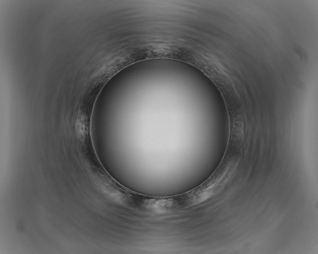 X0000112480135200908171227