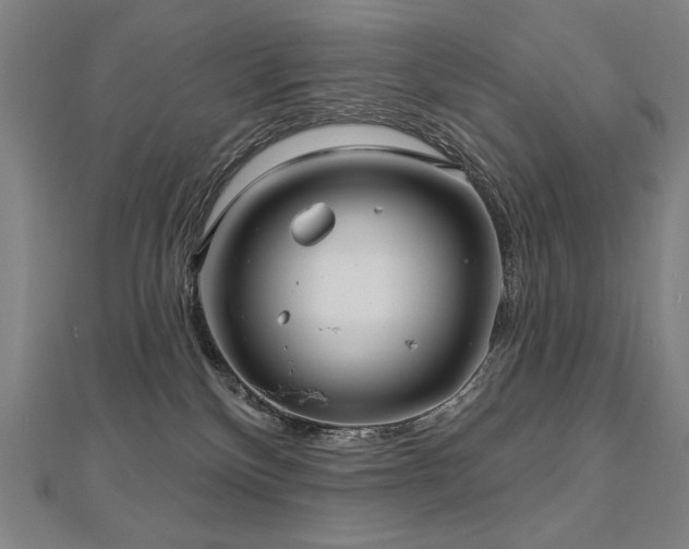 X0000112480136200908171227