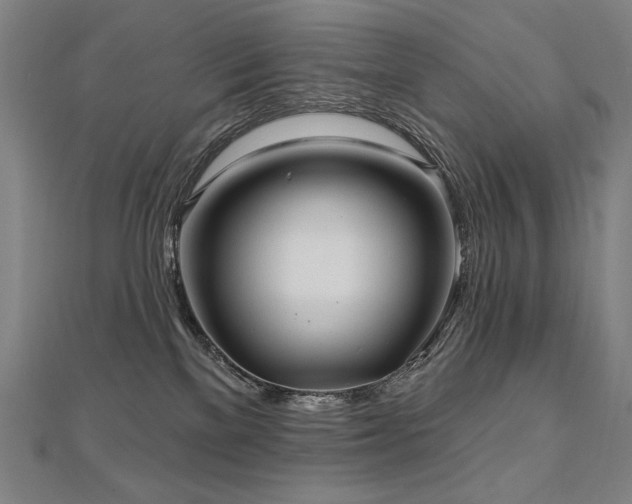 X0000112480137200908171227