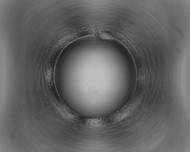 X0000112480139200908171227