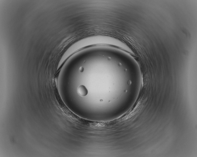 X0000112480140200908171227