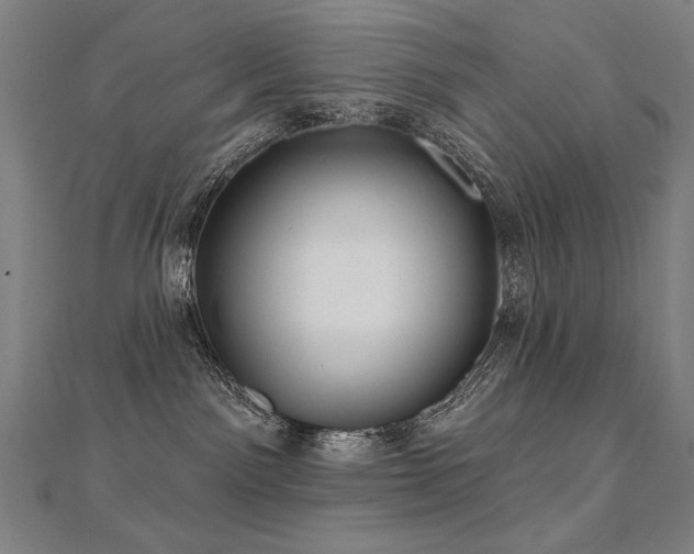X0000112480141200908171227