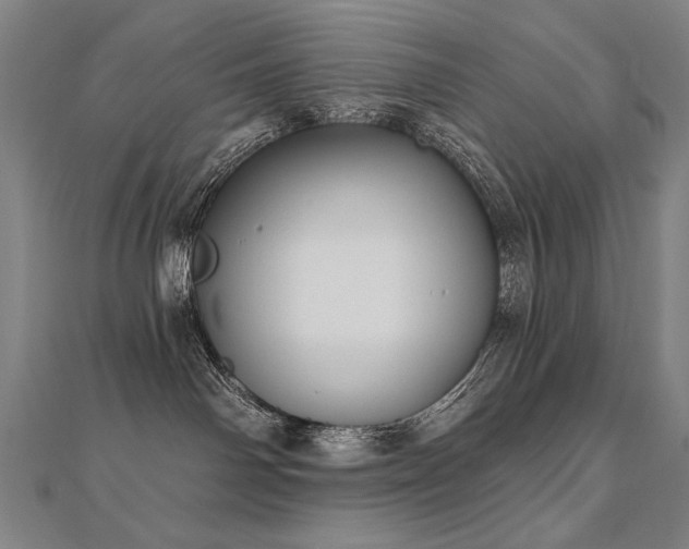 X0000112480142200908171227
