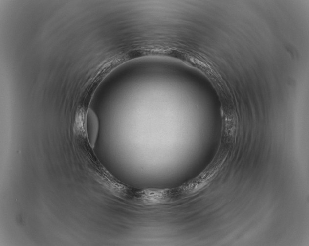 X0000112480143200908171227