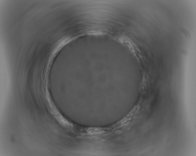 X0000112480145200908171227