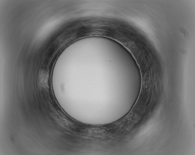 X0000112480146200908171227