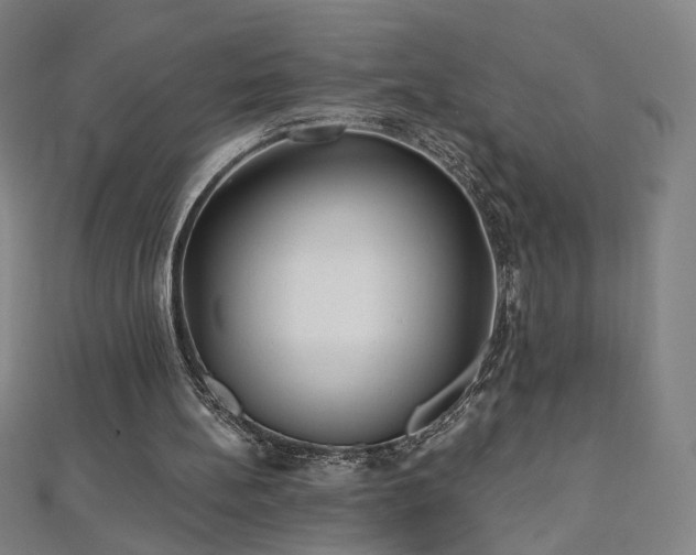 X0000112480148200908171227