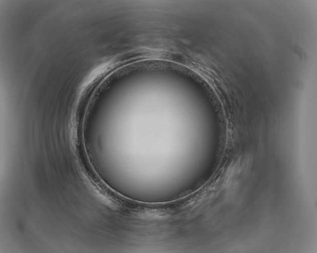 X0000112480149200908171227