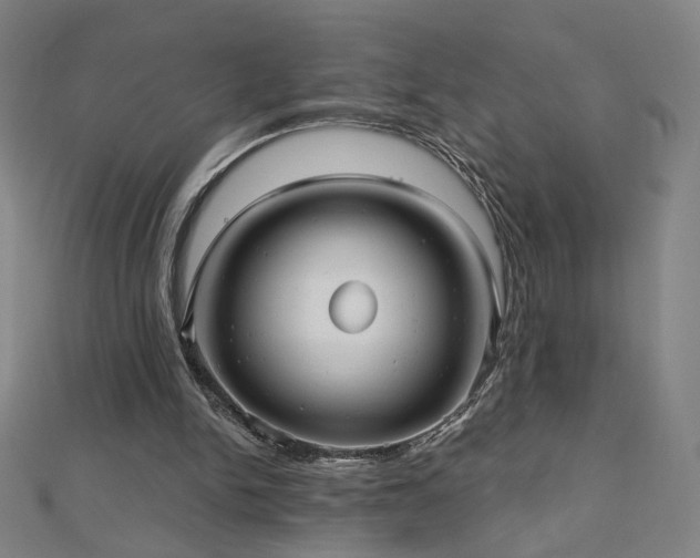 X0000112480150200908171227