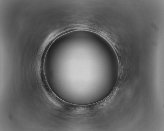 X0000112480151200908171227