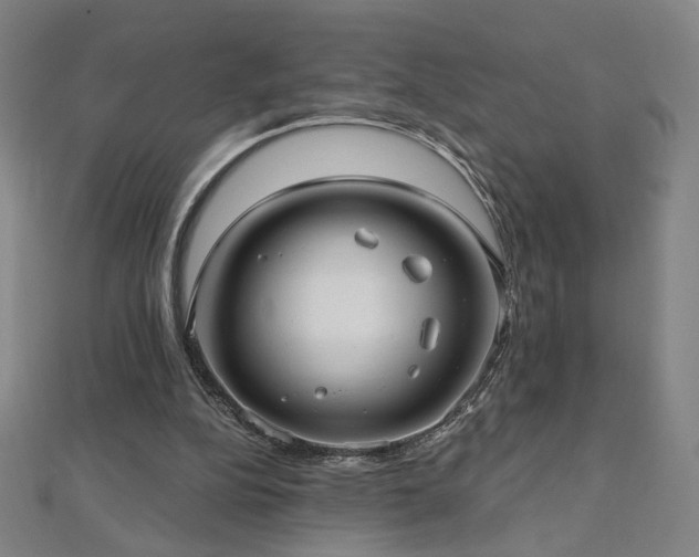 X0000112480152200908171227