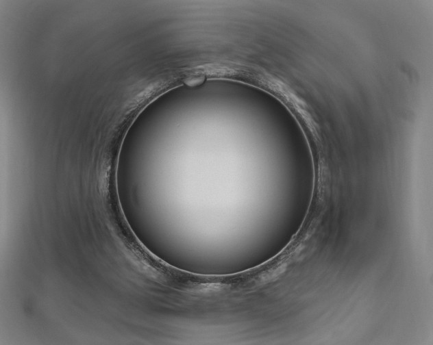 X0000112480153200908171227