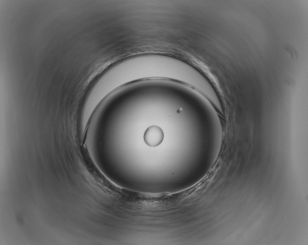 X0000112480154200908171227