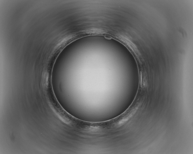 X0000112480157200908171227