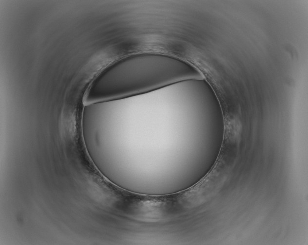 X0000112480158200908171227