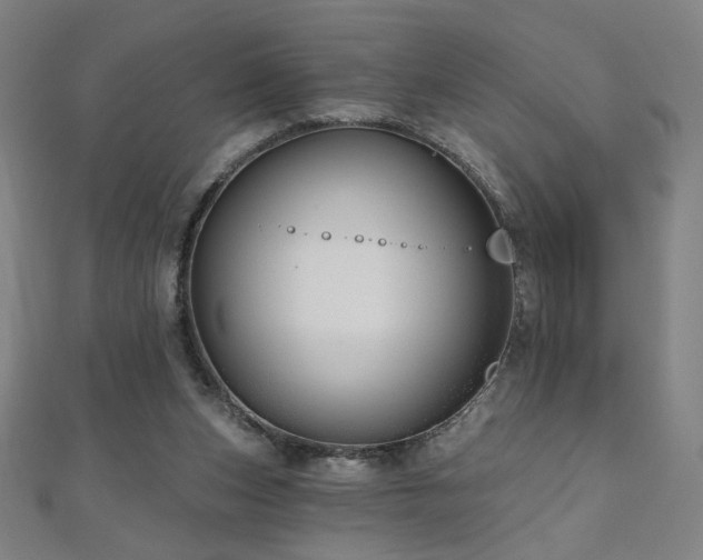 X0000112480159200908171227
