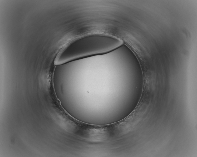 X0000112480160200908171227