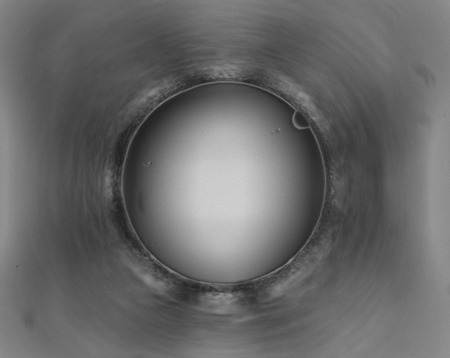 X0000112480161200908171227