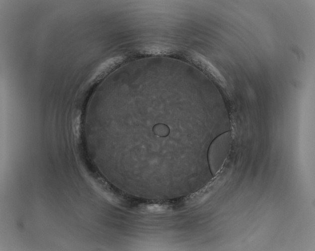 X0000112480163200908171227