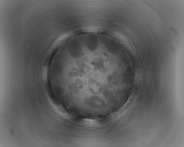 X0000112480167200908171227