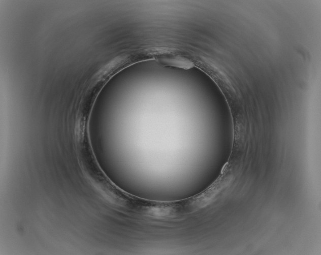 X0000112480168200908171227