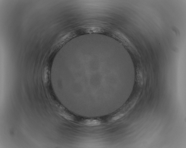 X0000112480169200908171227