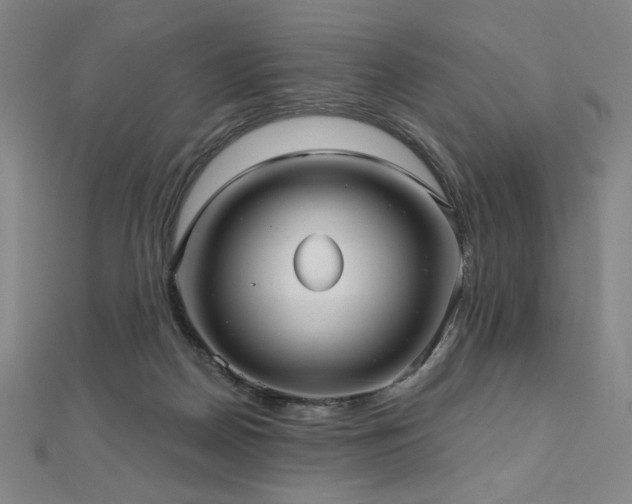 X0000112480170200908171227
