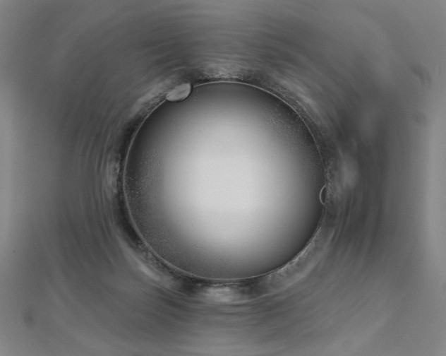 X0000112480171200908171227