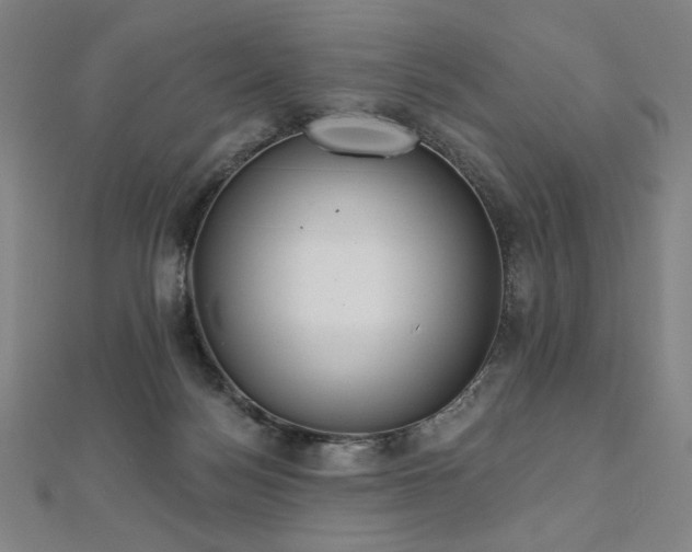 X0000112480172200908171227