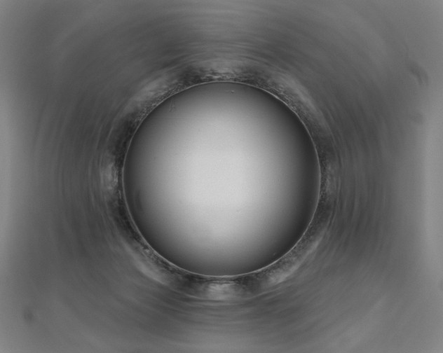 X0000112480173200908171227