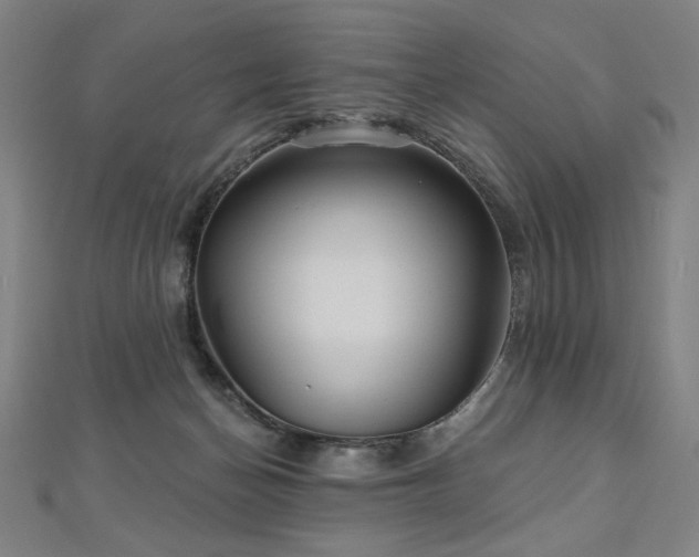 X0000112480174200908171227