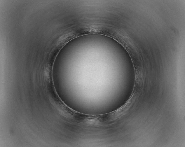 X0000112480175200908171227
