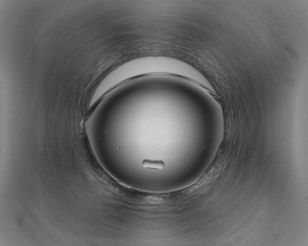 X0000112480176200908171227