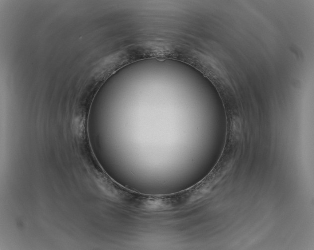 X0000112480177200908171227