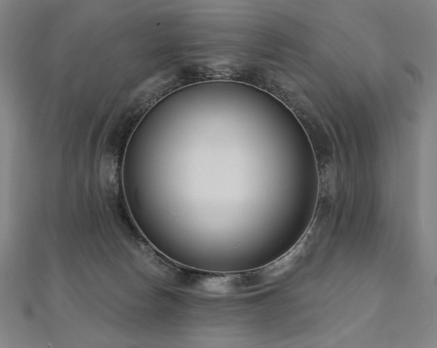 X0000112480178200908171227