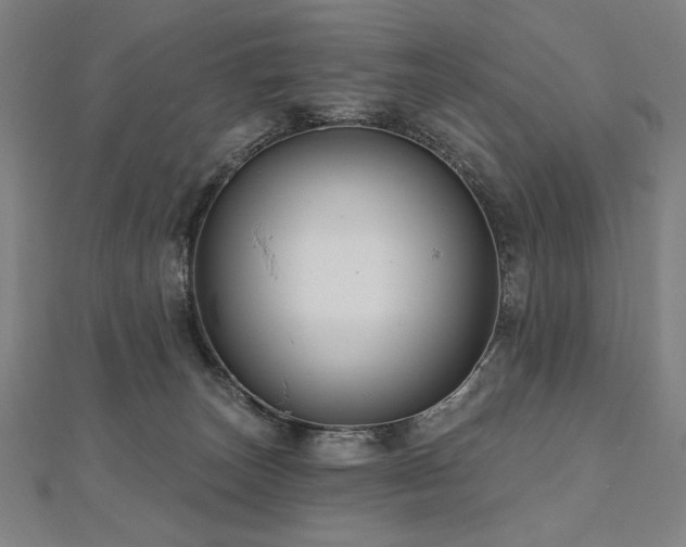 X0000112480179200908171227